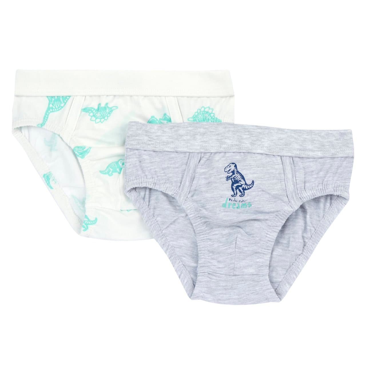 Set Intimo Slip Dinosauro | Chicco Set intimo bambino Chicco con due slip in jersey misto cotone, uno bianco con fantasia dinosauro e uno tinta unita, ideale per autunno/inverno. | Chicco